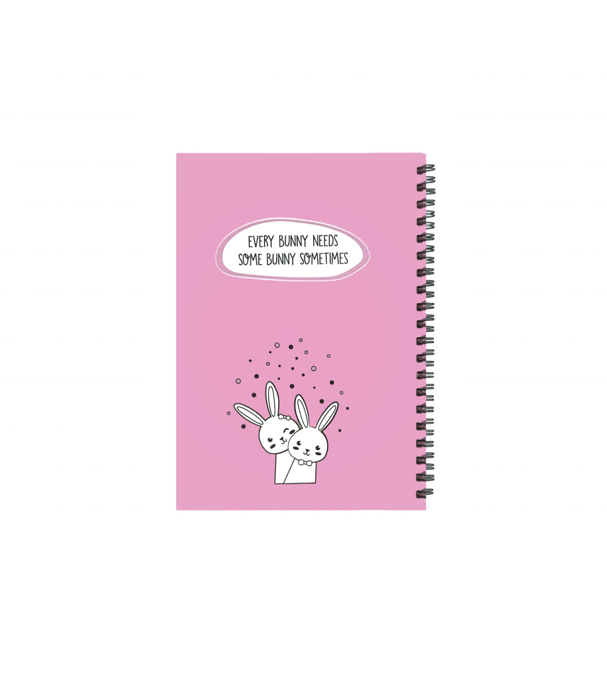 دفترچه یادداشت 100برگ پاپکو يک خط سايز B6 پاستلي طرح Funny Bunnies